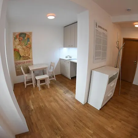 Mitte In Apartment
